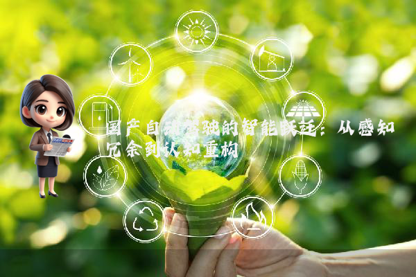 国产自动驾驶的智能跃迁：从感知冗余到认知重构