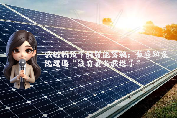 数据瓶颈下的智能驾驶：当感知系统遭遇“没有更多数据了”