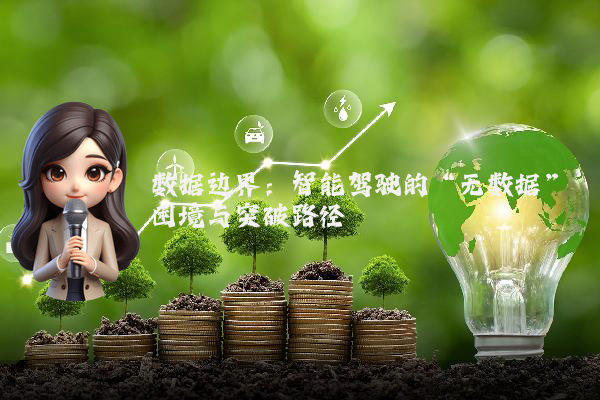 数据边界：智能驾驶的“无数据”困境与突破路径